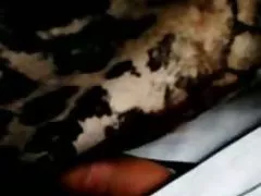 Il giorno della figa libera, 7 cazzi buoni per il giovane Aragne